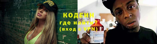 шишки Апатиты