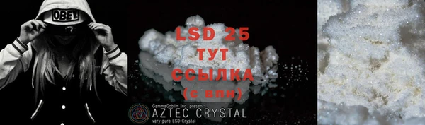 PSILOCYBIN Надым