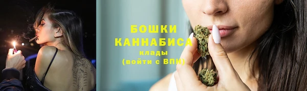 PSILOCYBIN Надым