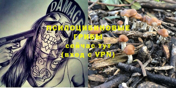 PSILOCYBIN Надым