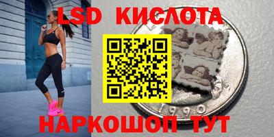 гидра Камышлов