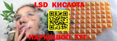 гидра Камышлов