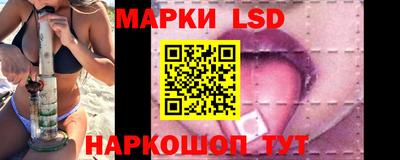 гидра Камышлов