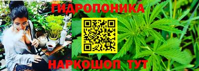 гидра Камышлов
